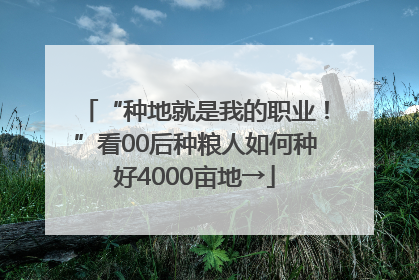 “种地就是我的职业！”看00后种粮人如何种好4000亩地→